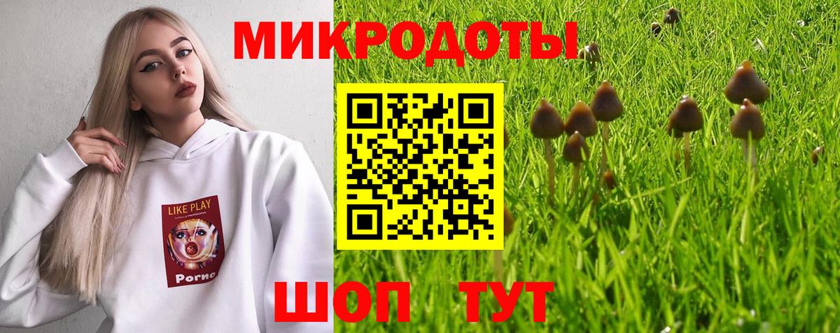 Галлюциногенные грибы Magic Shrooms Сыктывкар